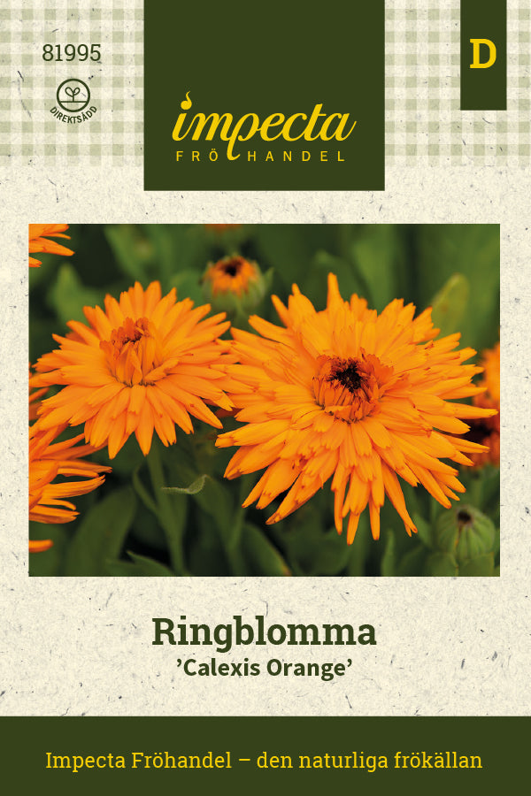 Frø: Morgenfrue 'Calexis Orange'
