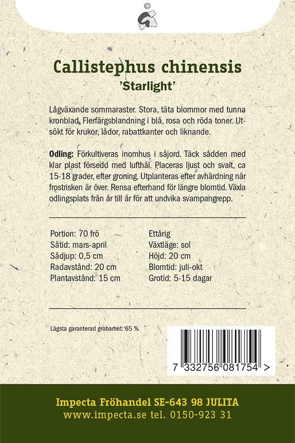 Frø: Sommerasters 'Starlight'