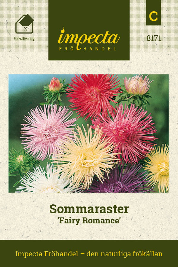 Frø: Sommerasters 'Fairy Romance'