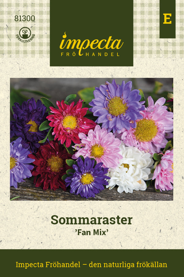 Frø: Sommerasters 'Fan Mix'