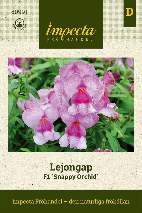Frø: Løvemund F1 'Snappy Orchid'