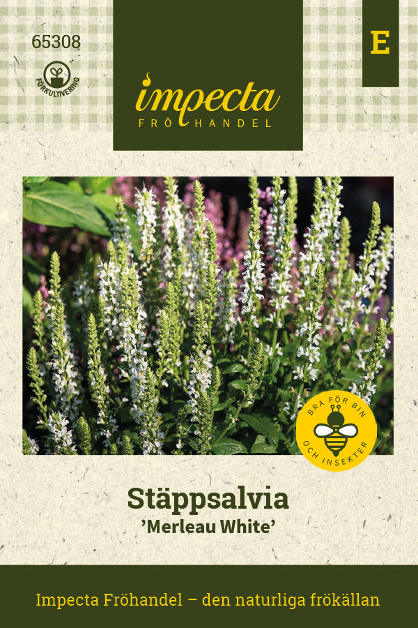 Frø: Staudesalvie 'Merleau White'