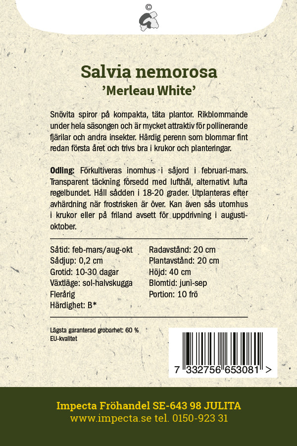Frø: Staudesalvie 'Merleau White'