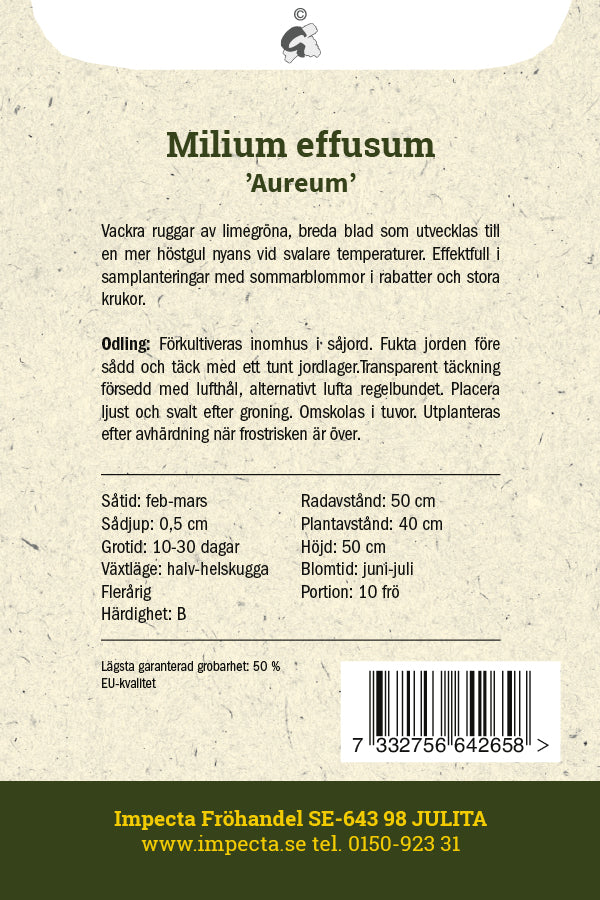 Frø: Miliegræs 'Aureum'