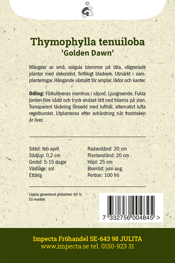 Frø: Taxaskrave 'Golden Dawn'