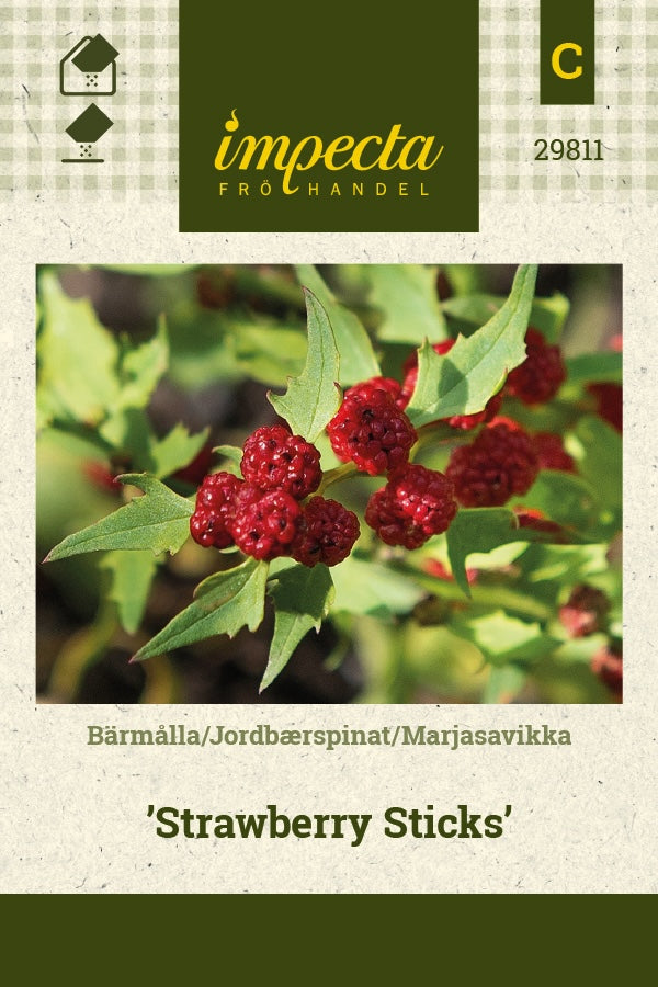 Frø: Jordbærspinat 'Strawberry Sticks'