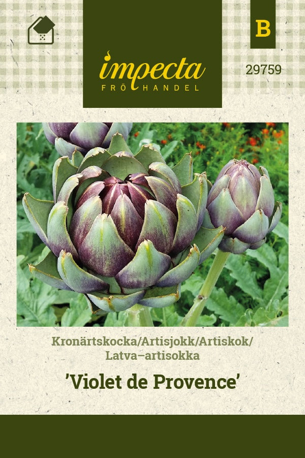 Frø: Artiskok 'Violet de Provence'