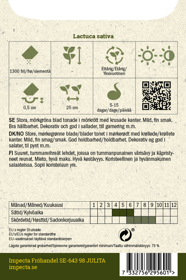 Frø: Pluksalat 'Amerikanischer Brauner'