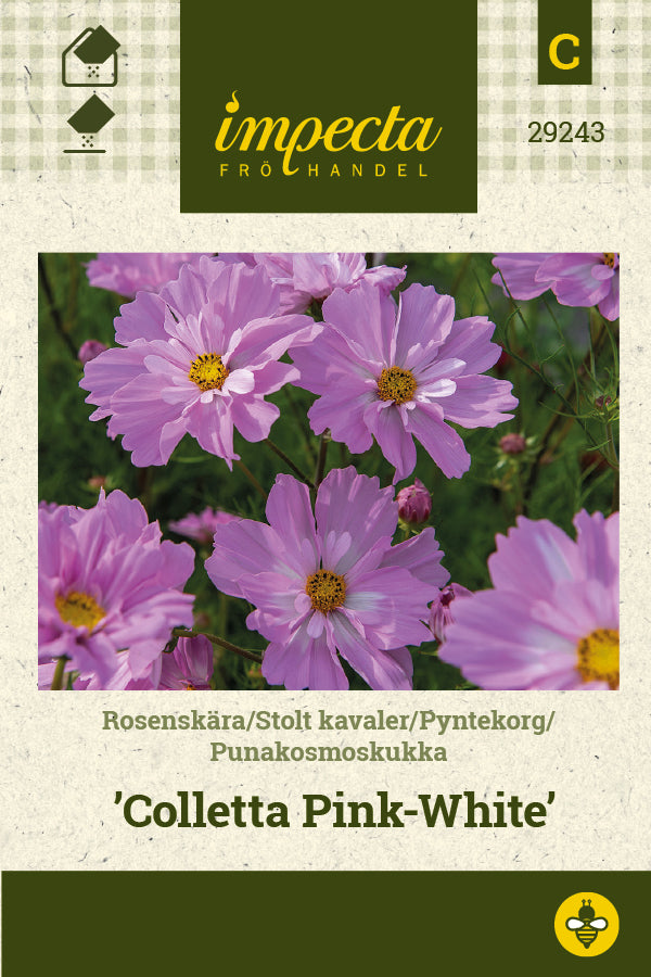 Frø: Stolt kavaler 'Colletta Pink-White'