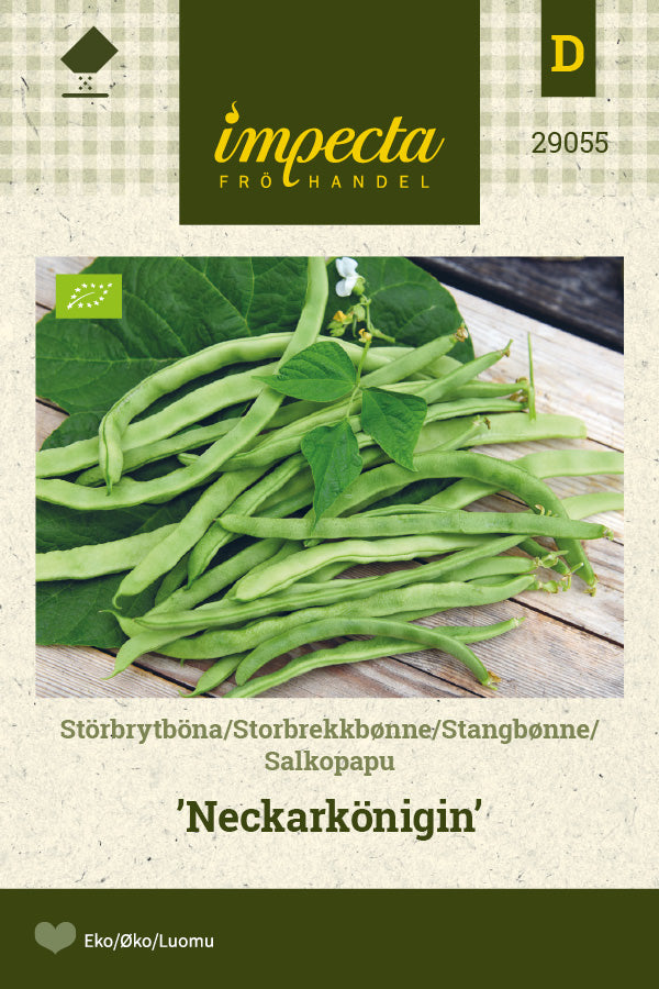 Frø: Stangbønne 'Neckarkönigin'