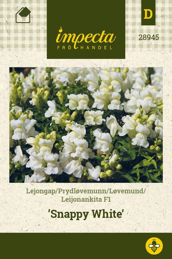 Frø: Løvemund F1 'Snappy White'