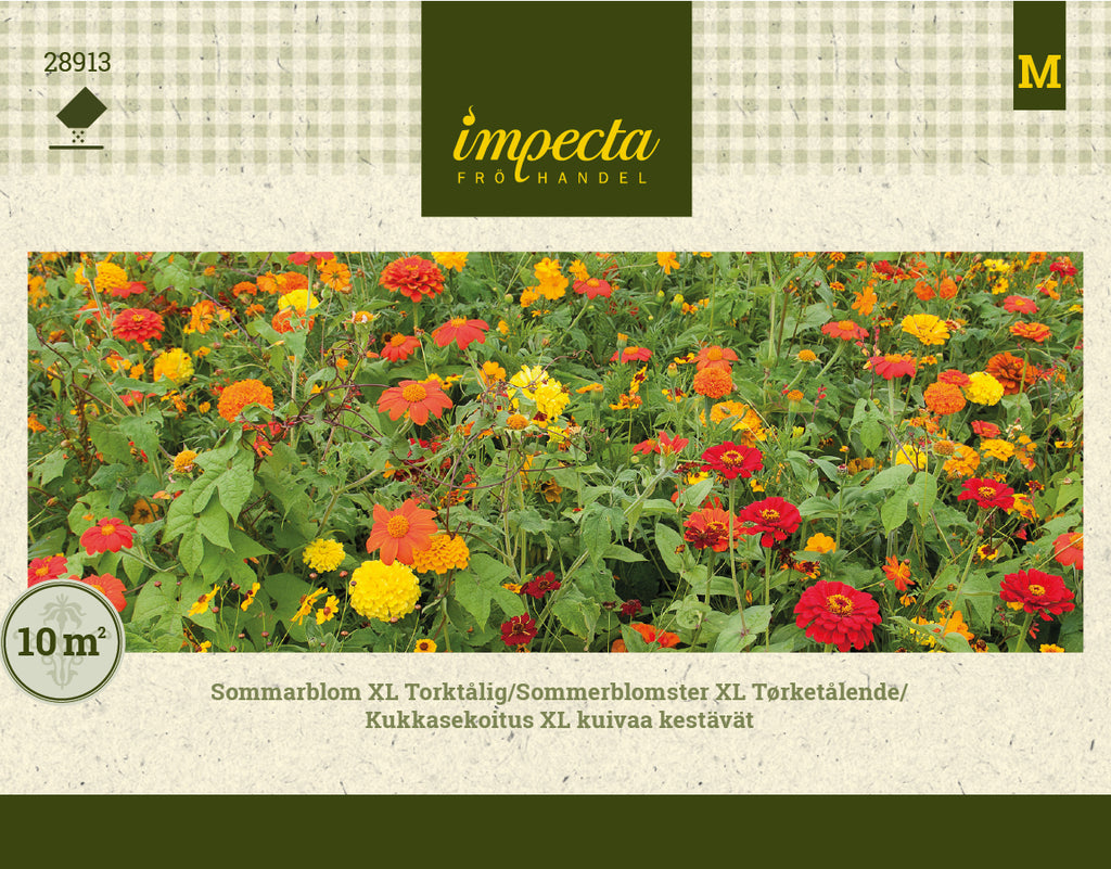Frø: Sommerblomster XL Tørketålende