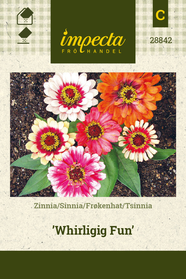 Frø: Frøkenhat 'Whirligig Fun'