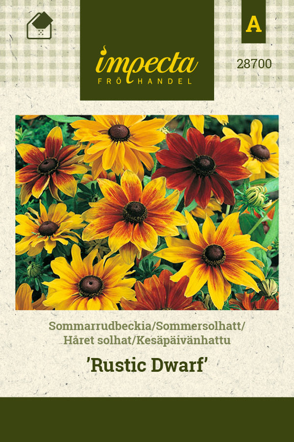 Frø: Håret solhat 'Rustic Dwarf'