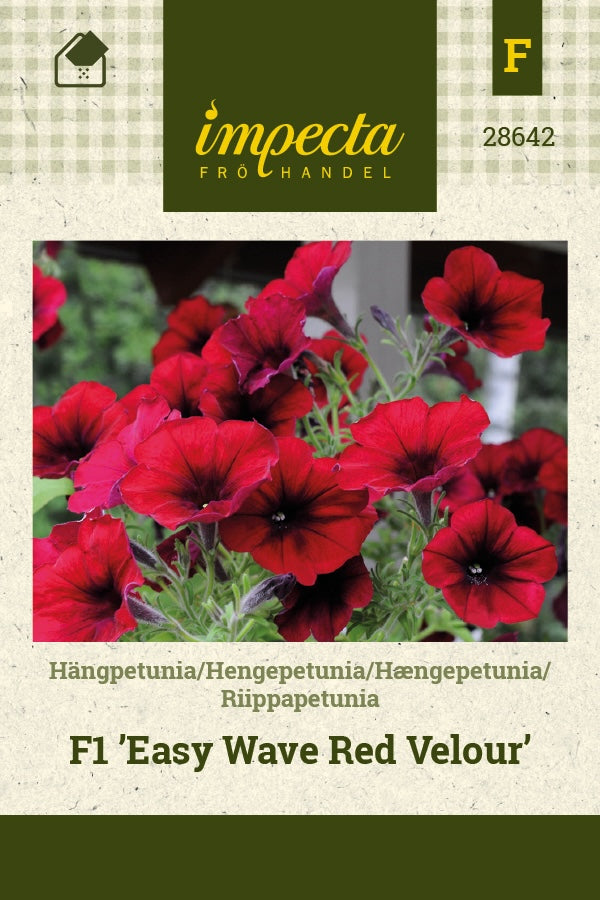 Frø: Hængepetunia F1 'Easy Wave Red Velour'