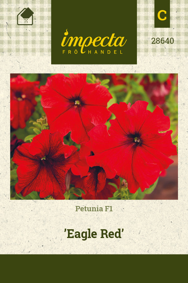 Frø: Petunia F1 'Eagle Red'