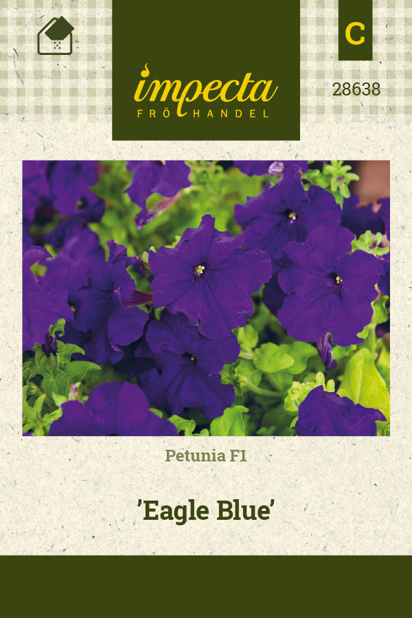 Frø: Petunia F1 'Eagle Blue'