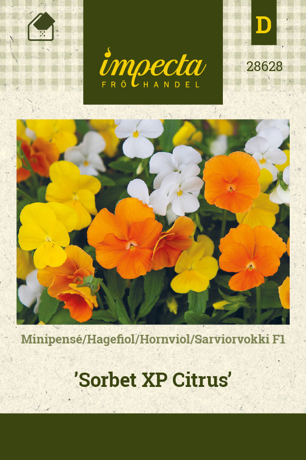 Frø: Hornviol F1 'Sorbet XP Citrus'