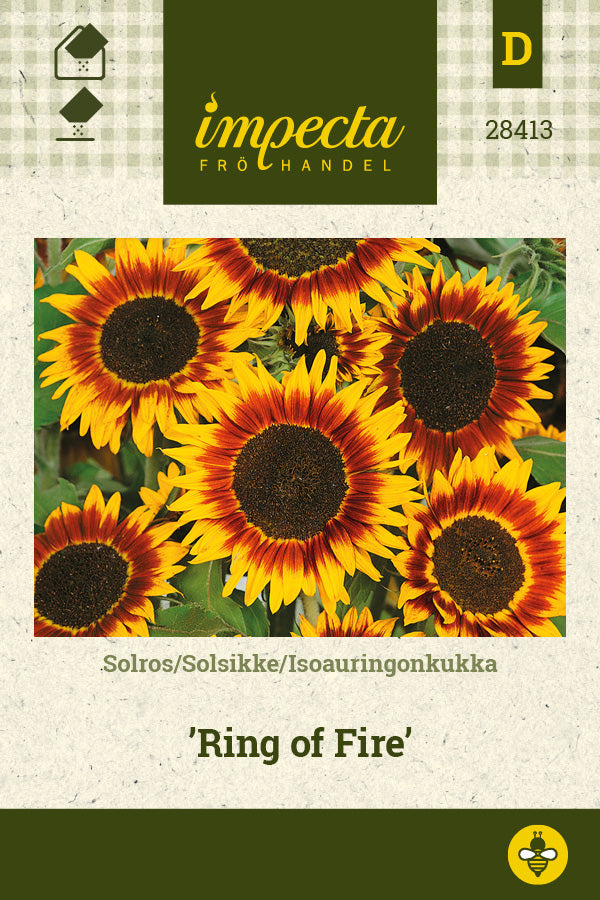 Frø: Solsikke 'Ring of Fire'