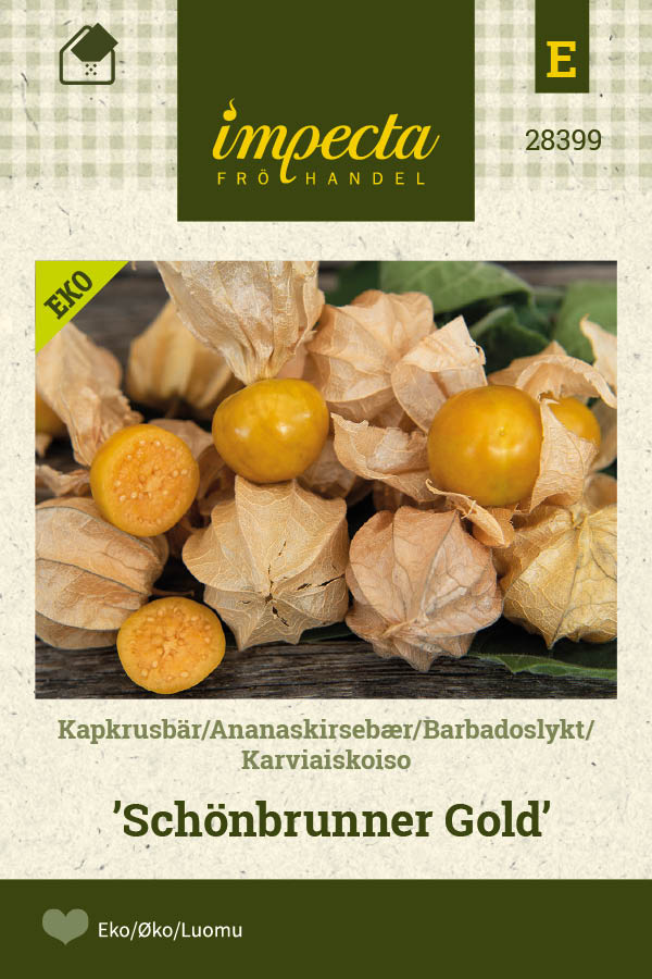 Frø: Ananaskirsebær 'Schönbrunner Gold'