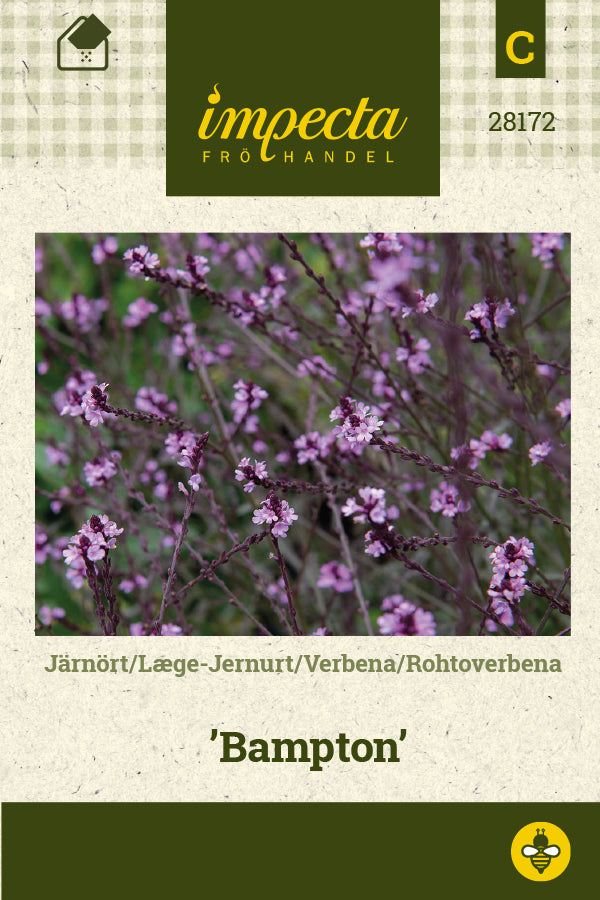 Frø: Jernurt 'Bampton'