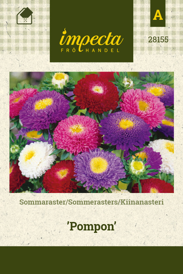 Frø: Sommerasters 'Pompon'