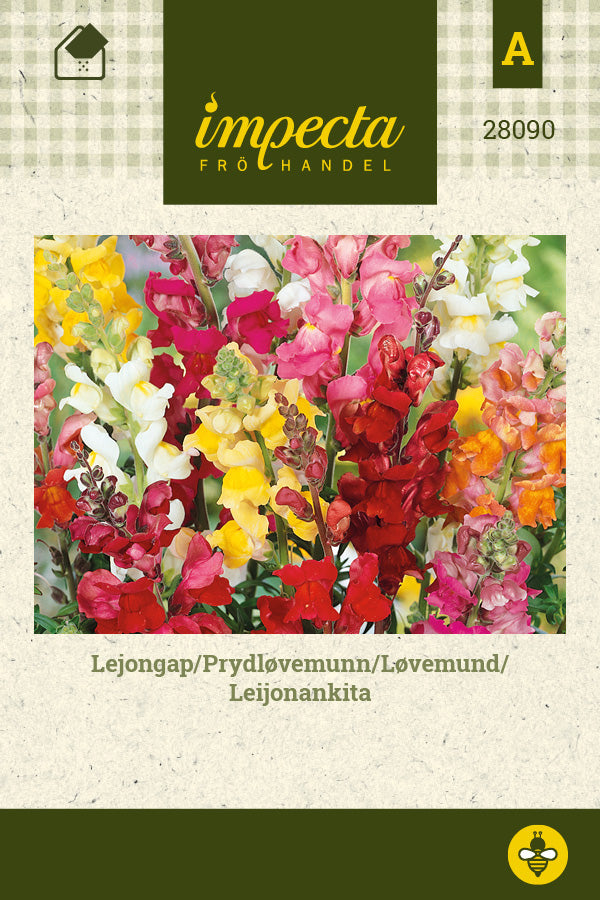 Frø: Løvemund, mix