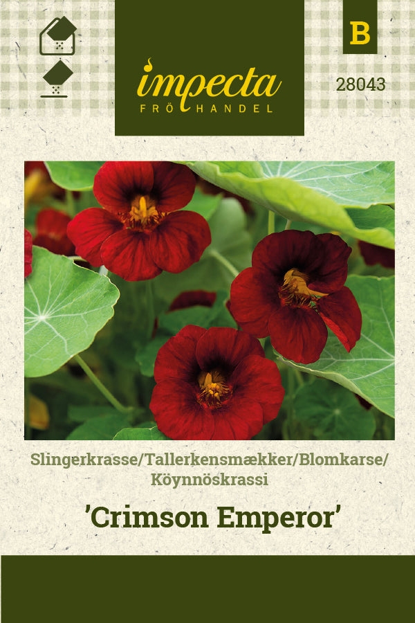 Frø: Tallerkensmækker 'Crimson Emperor'