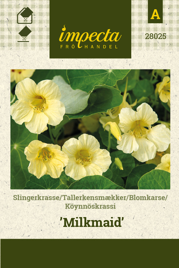 Frø: Tallerkensmækker 'Milkmaid'