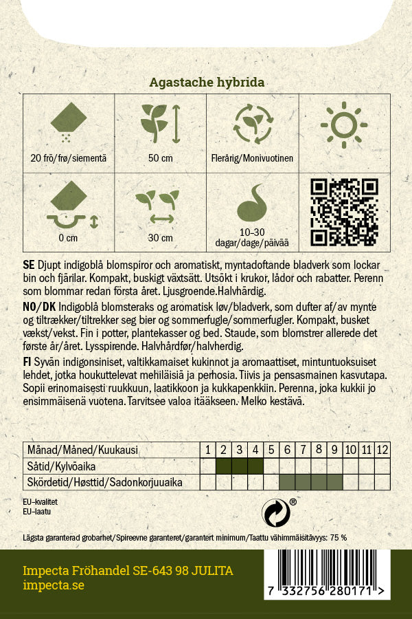 Frø: Anisisop 'Astello Indigo'