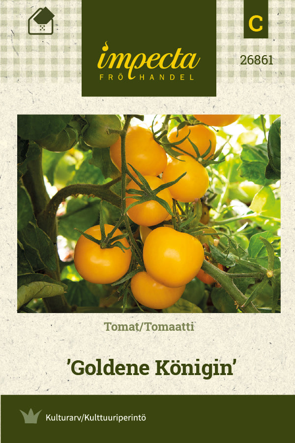 Frø: Tomat 'Goldene Königin'