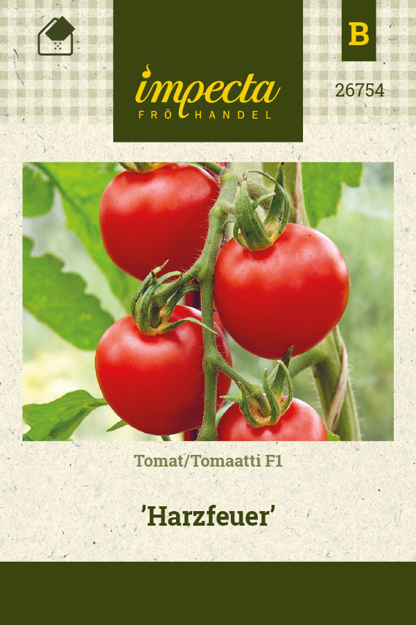 Frø: Tomat F1 'Harzfeuer'