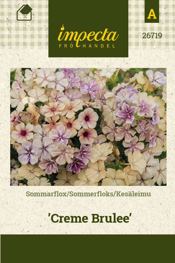 Frø: Floks 'Creme Brulee'