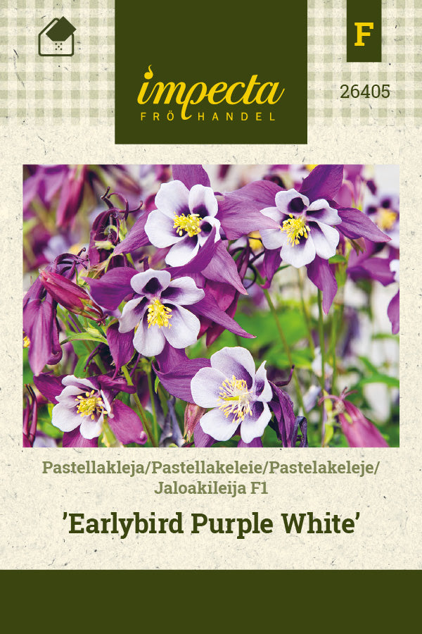 Frø: Pastelakeleje F1 'Earlybird Purple White'