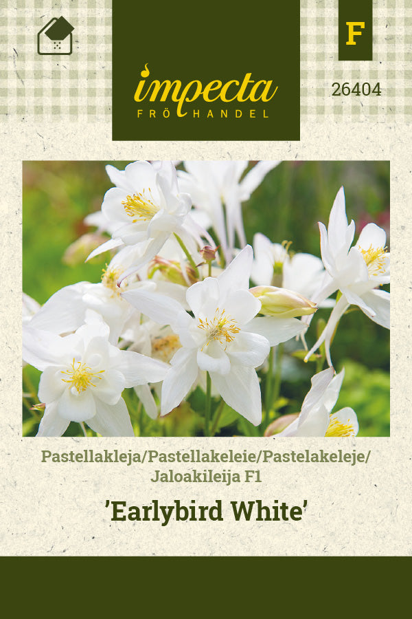 Frø: Pastelakeleje F1 'Earlybird White'