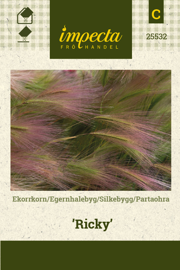 Frø: Egernhalebyg 'Ricky'
