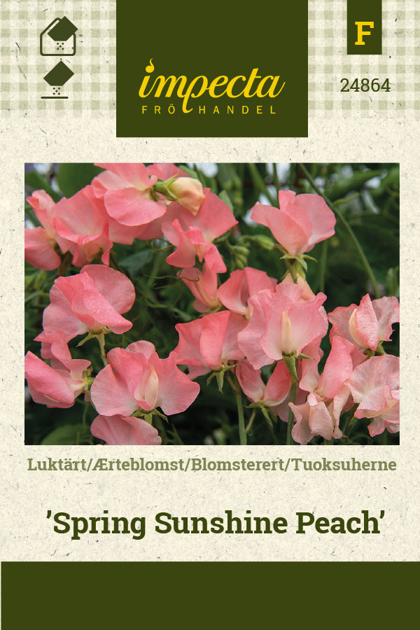 Frø: Ærteblomst 'Spring Sunshine Peach'