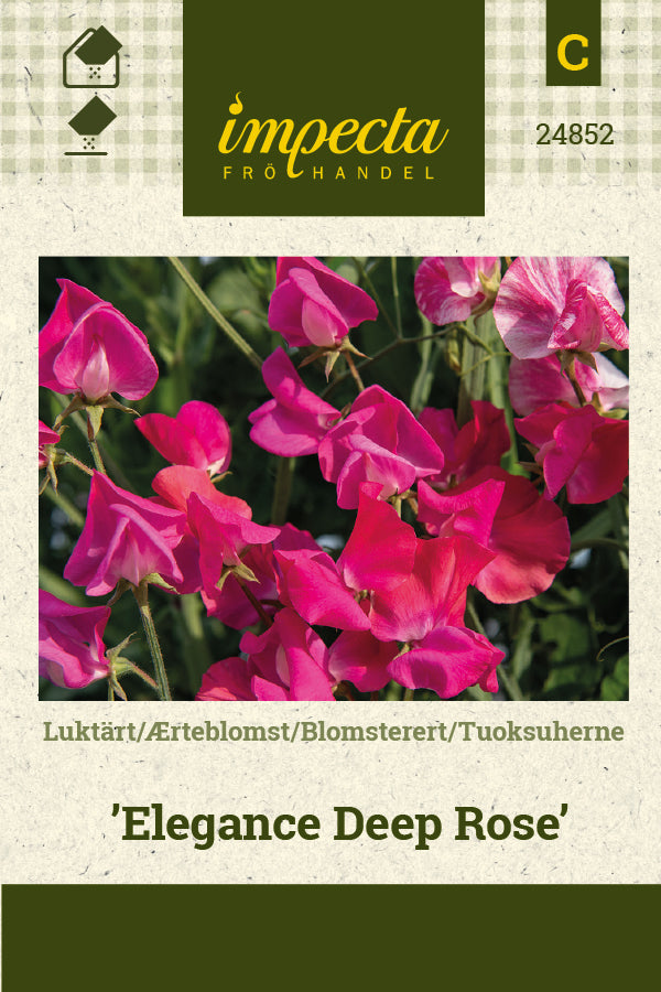 Frø: Ærteblomst 'Elegance Deep Rose'