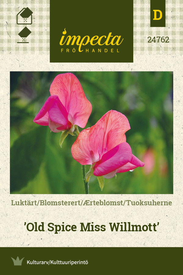 Frø: Ærteblomst 'Old Spice Miss Willmott'