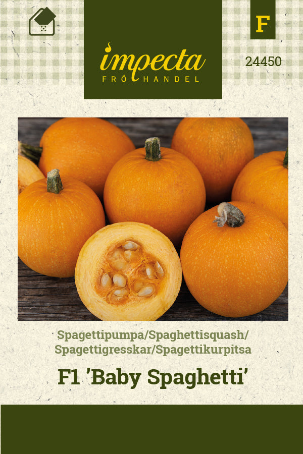 Frø: Spaghettisquash F1 'Baby Spaghetti'