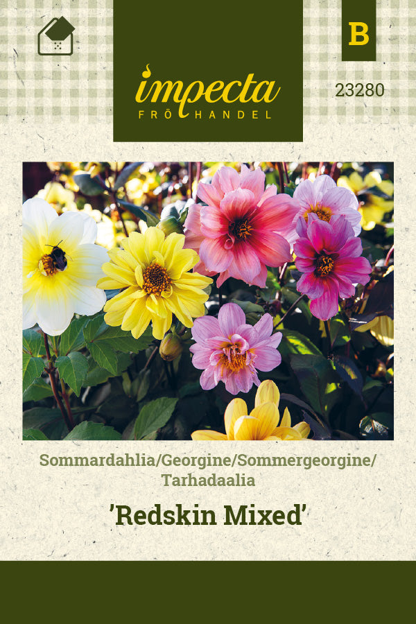 Frø: Sommergeogine 'Redskin Mixed'
