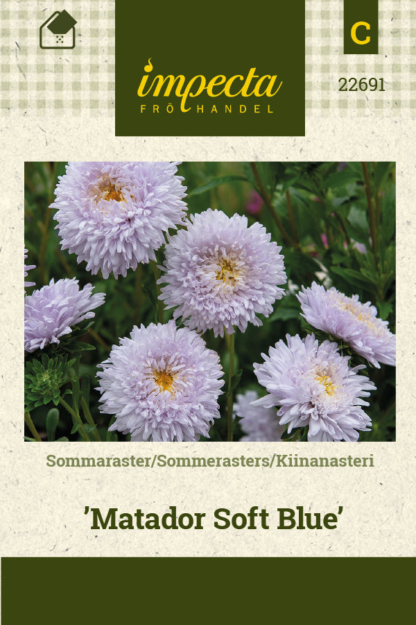 Frø: Sommerasters 'Matador Soft Blue'