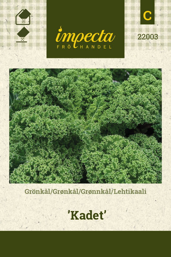Frø: Grønkål 'Kadet'