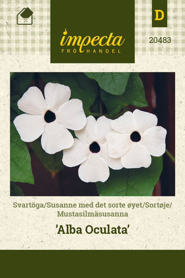 Frø: Sortøje 'Alba Oculata'