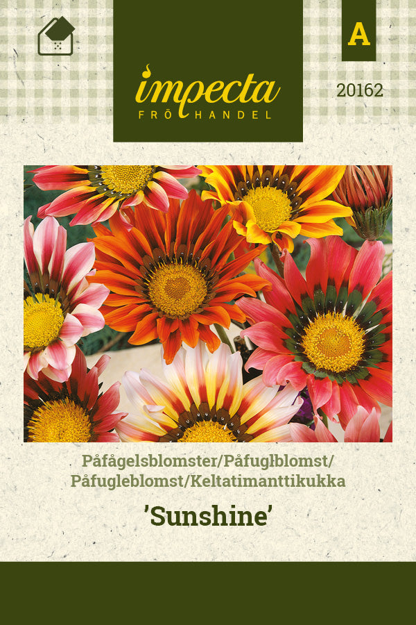 Frø: Påfugleblomst 'Sunshine'