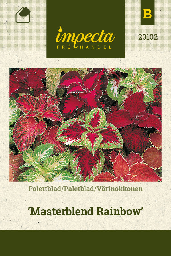 Frø: Paletblad 'Masterblend Rainbow'