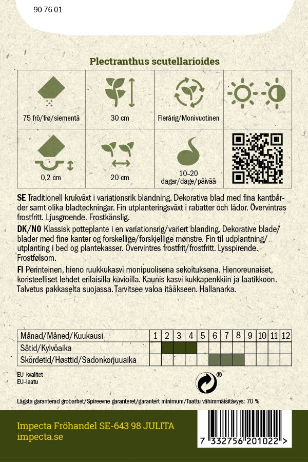 Frø: Paletblad 'Masterblend Rainbow'
