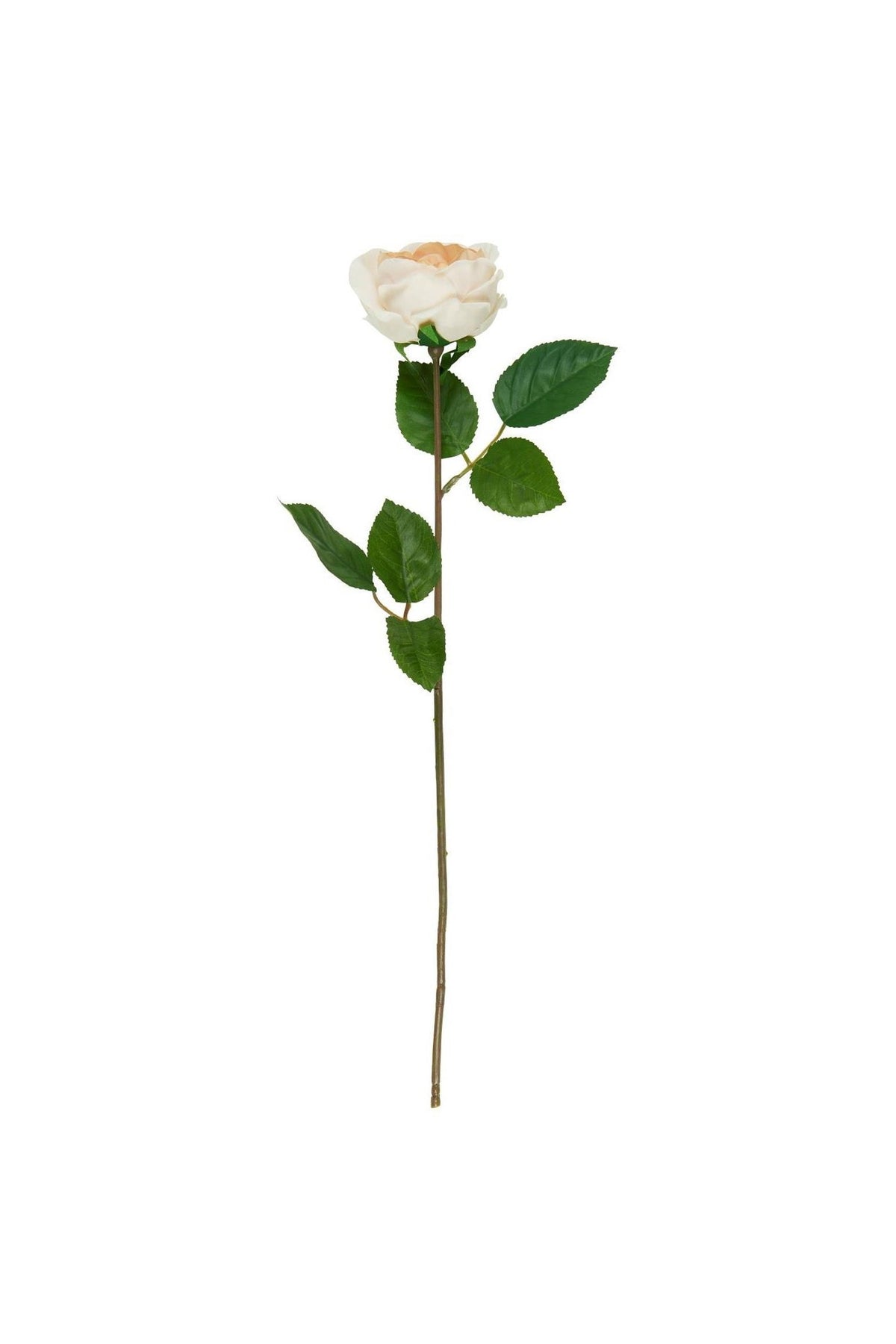 Rosenstilk, beige, plast.