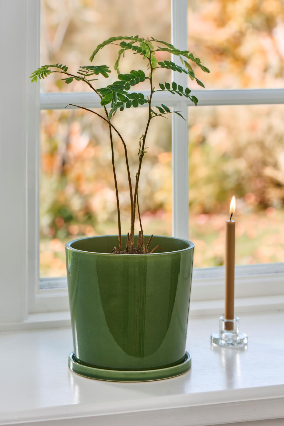 Skjuler m/underskål, grøn Ø16 cm