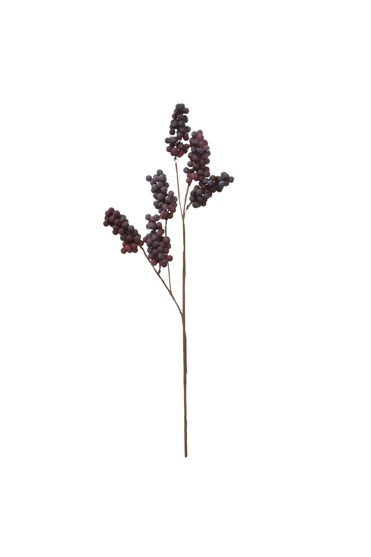 Bærgren, H70 cm